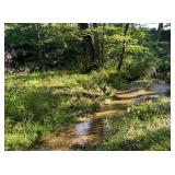 Tremendous Wildlife / Hunting Opportunities