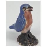 Overbeck Eastern Bluebird