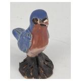 Overbeck Eastern Bluebird, damage on the beak