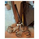 Baseball & Softball Bats, Gloves and Balls