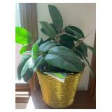 "PERMANENT" PLANT