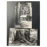 (2) DIFFERENT "OLD" POSTCARDS-CHECK OUT THE PIC (2) DIFFERENT "OLD" POSTCARDS-CHECK OUT THE PIC