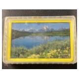 DECK OF PLAYING CARDS-CHECK OUT THE PIC DECK OF PLAYING CARDS-CHECK OUT THE PIC