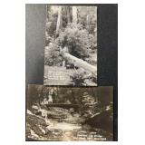 (2) DIFFERENT "OLD" POSTCARDS-CHECK OUT THE PIC (2) DIFFERENT "OLD" POSTCARDS-CHECK OUT THE PIC