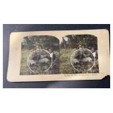 CIRCA 1900 ORIGINAL STEREOVIEW PICTURE CARD CIRCA 1900 ORIGINAL STEREOVIEW PICTURE CARD