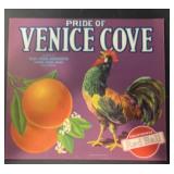 VINTAGE CRATE/BOX LABEL-VENICE COVE CITRUS FRUIT VINTAGE CRATE/BOX LABEL-VENICE COVE CITRUS FRUIT