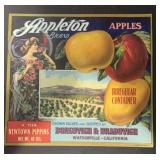 VINTAGE CRATE/BOX LABEL-APPLETON APPLES VINTAGE CRATE/BOX LABEL-APPLETON APPLES