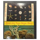 (2) DIFFERENT "OLD" POSTCARDS-CHECK OUT THE PIC (2) DIFFERENT "OLD" POSTCARDS-CHECK OUT THE PIC