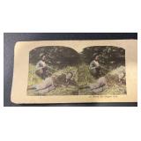 CIRCA 1900 ORIGINAL STEREOVIEW PICTURE CARD CIRCA 1900 ORIGINAL STEREOVIEW PICTURE CARD