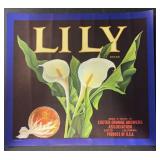 VINTAGE CRATE/BOX LABEL-LILY CITRUS VINTAGE CRATE/BOX LABEL-LILY CITRUS