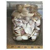 GLASS JAR W/OCEANONIC SHELLS