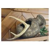 SOUTHWESTERN DECOR-CHECK OUT THE PIC'S