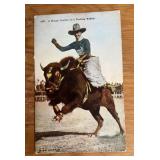 VINTAGE "UNUSED" POSTCARD-"BUFFALO RIDER"