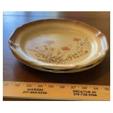 (2)STONEWARE DINNER PLATES
