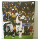 Bronco Canvas