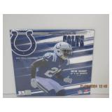2016 Colts Wall Calendar