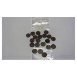 20 Assorted Indian Head Pennies worth $3 each