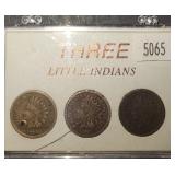 Three Little Indians - Indian Head Pennies