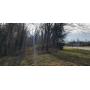 Approx. 92.37 Wooded Acres +/-
