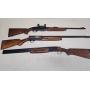 Firearms Auction