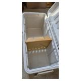 Large Fish Cooler