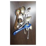 Assorted Collector Spoons