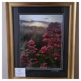 Northern Italy Framed Print  by Dr. Glen McMurray