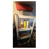 Shelf with Cleaning Supplies
