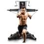 COMMERCIAL QUALITY FITNESS EQUIPMENT ONLINE AUCTION