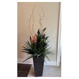 Beautifully Arranged Plants with Tall Pot