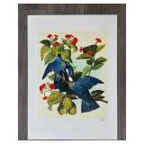 "White-crowned Pigeon" Master Edition Inc. Print