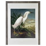 "Snowy Egret" Master Edition Inc. Print