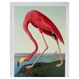 "Flamingo" Master Edition Inc. Print