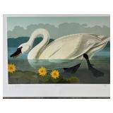 "Whistling Swan" Master Edition Inc. Print