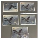 Five Sets of Uncirculated Canadian Coins