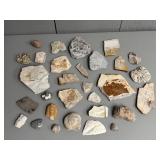 Box of Assorted Fossils