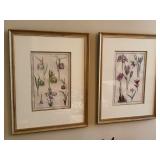 Series of Original Copperplate Botanical Prints