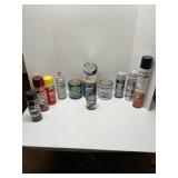 Various auto paint primers and protective enamel