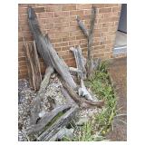 Lot of Driftwood