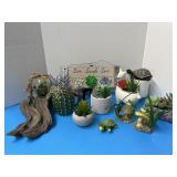 Beautiful cactus lot