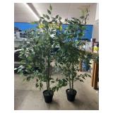 Pair of 4ft artificial ficus trees