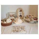 Decorative lot of Sea shells