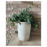 Cement pot with greenery
