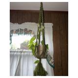 Vintage Green Macramï¿½ Plant Hang with Plant
