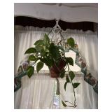 Vintage Beige Macrame with plant Over the sink