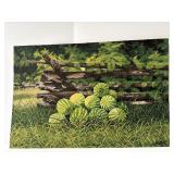 Summer Green by Bob Timberlake Signed Numbered &