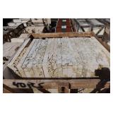 Calypso Coral Saw Cut