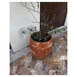 Pair of Terracotta Pots