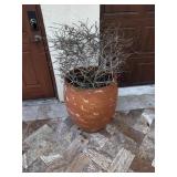 Pair of Terracotta Pots