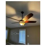 Ceiling Fans